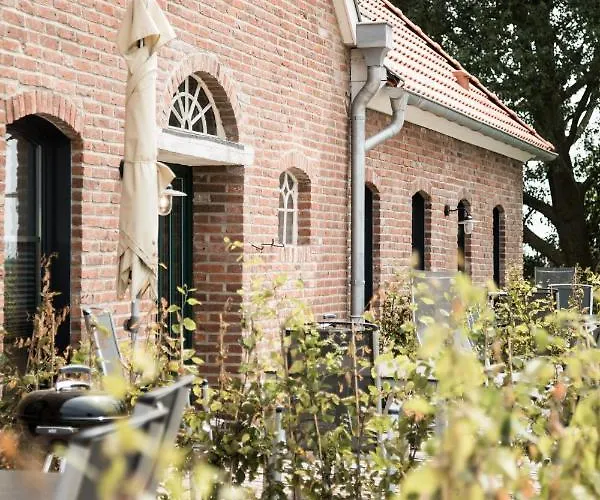 Daire Gulfhof Dreybült Dreybült 4 Onno