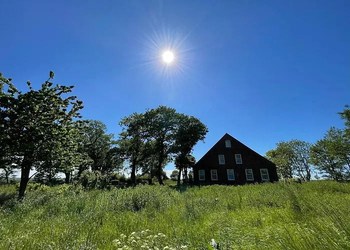 Gulfhof Dreybült Dreybült 4 Onno * Dornum