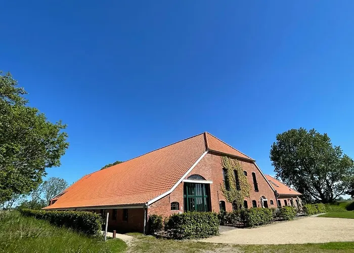 Daire Gulfhof Dreybült Dreybült 4 Onno